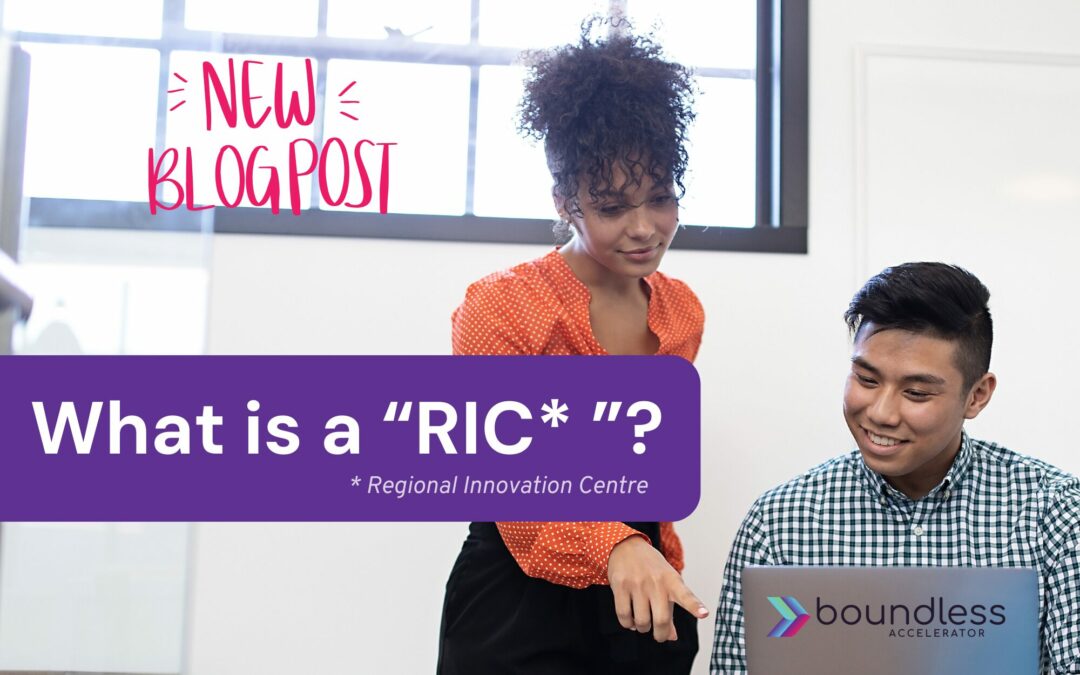 Boundless Education: What is a RIC?